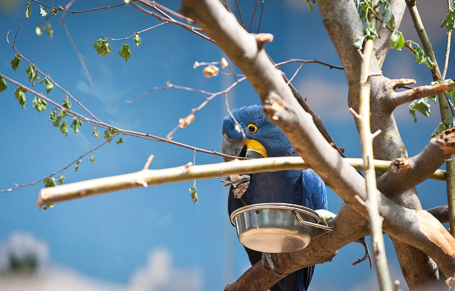 网页攻击器教程