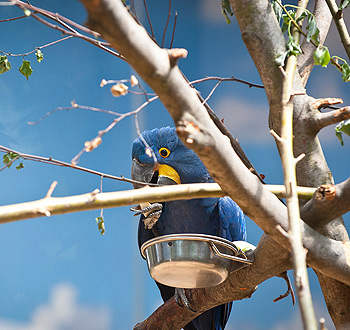 网页攻击器教程