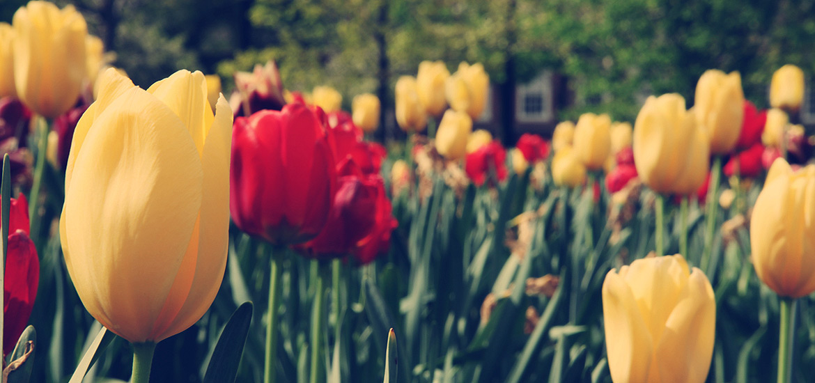 ip攻击器网页版