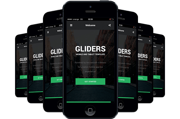 虚拟商品批发的Web漏洞扫描工具